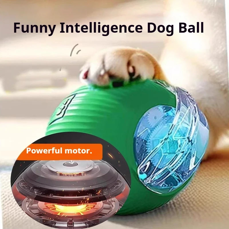 Automatic Rolling Dog Ball