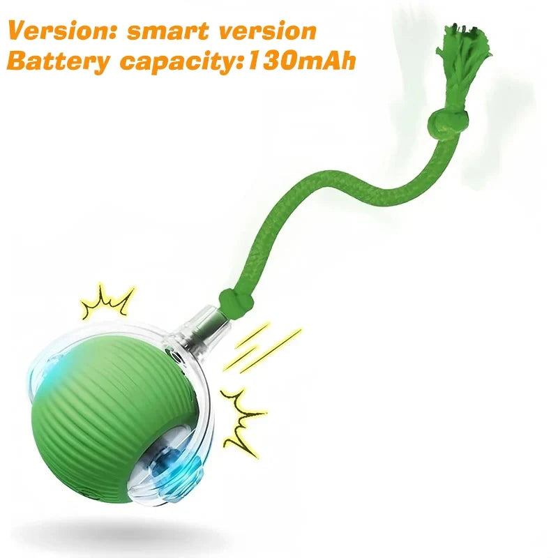 Automatic Rolling Dog Ball