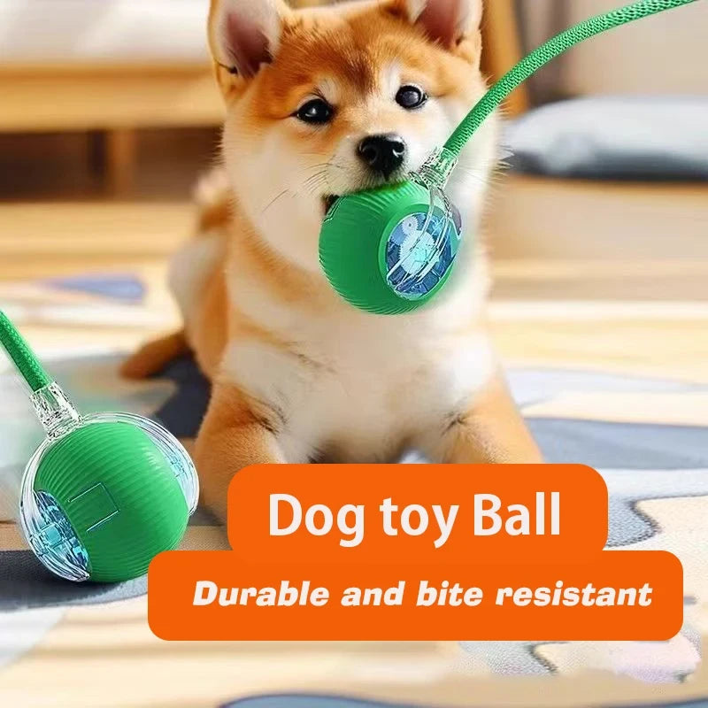Automatic Rolling Dog Ball
