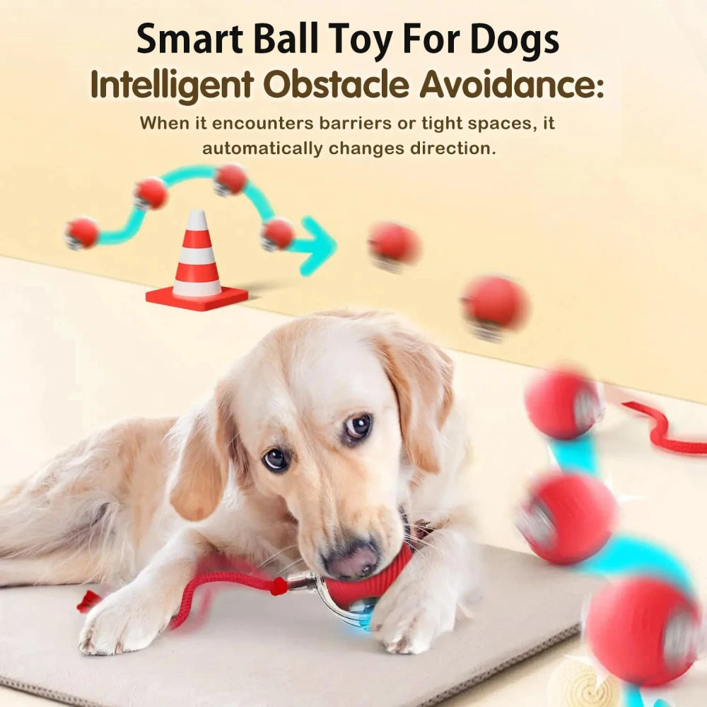 Automatic Rolling Dog Ball